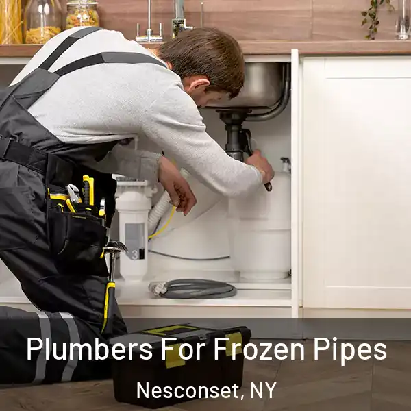  Plumbers For Frozen Pipes Nesconset, NY