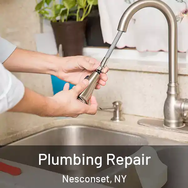 Plumbing Repair Nesconset, NY