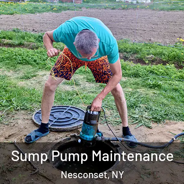  Sump Pump Maintenance Nesconset, NY