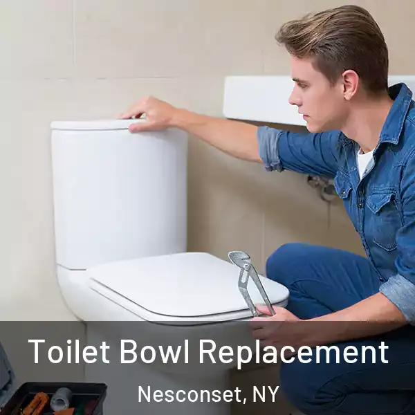  Toilet Bowl Replacement Nesconset, NY