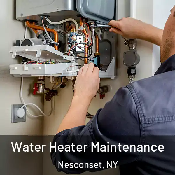  Water Heater Maintenance Nesconset, NY